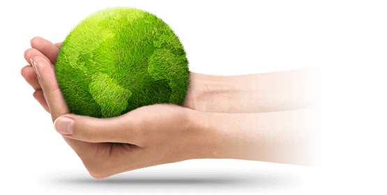 hands holding environment