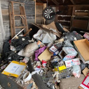before building cleanout